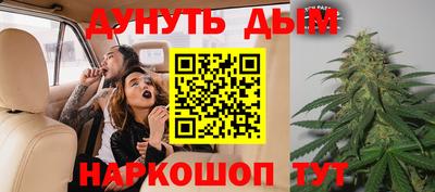 сатива Кунгур