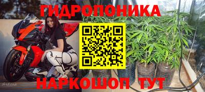 сатива Кунгур