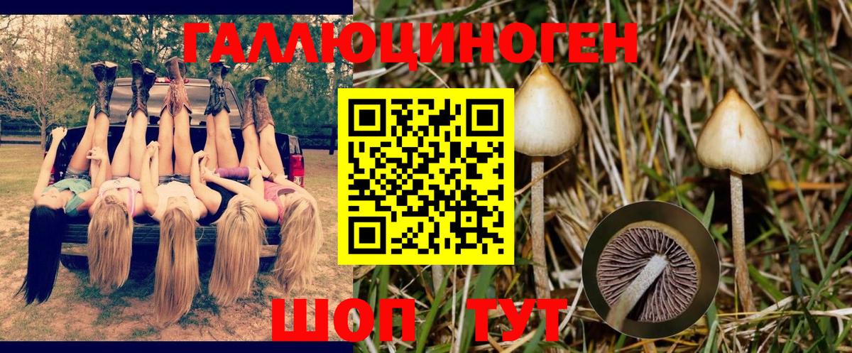 Псилоцибиновые грибы Psilocybe  Вход с VPN  купить наркотики цена  Клин 
